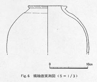 Fig.6