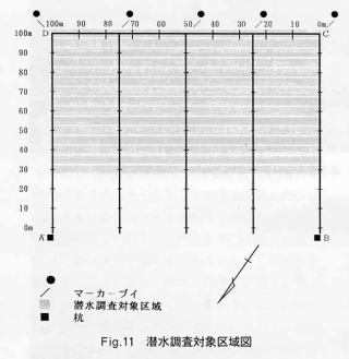 Fig.11 潜水調査対象区域図