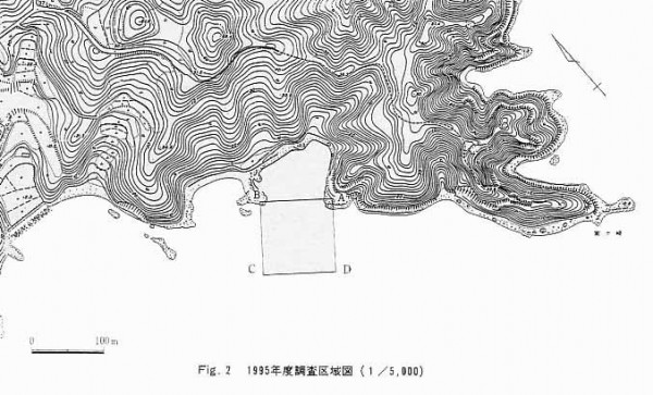 1995年度調査区域図（1/5,000）